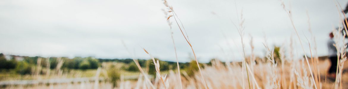 Photo by Gabriel Forsberg on Unsplash.